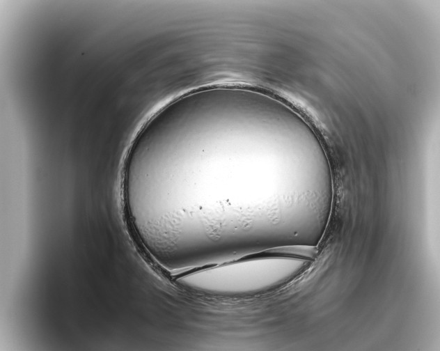 X0000096421375200801311404