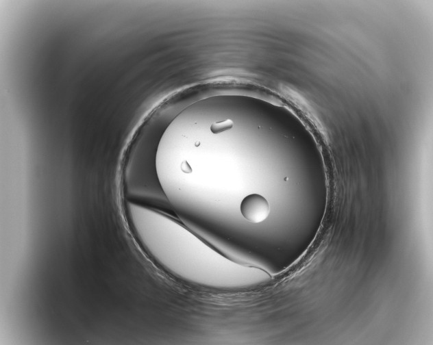X0000096421376200801311404