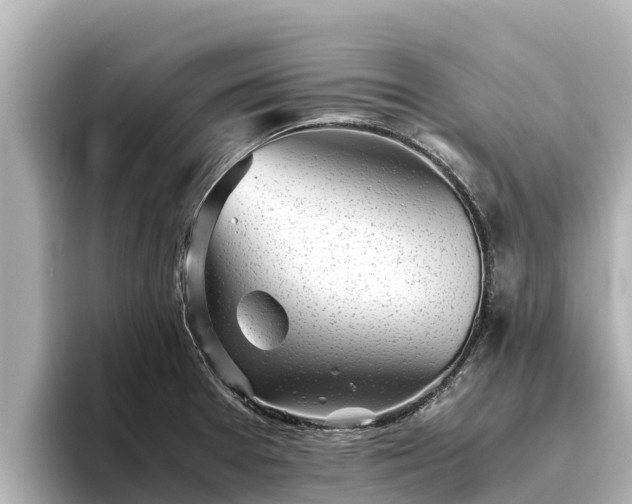 X0000096421377200801311404
