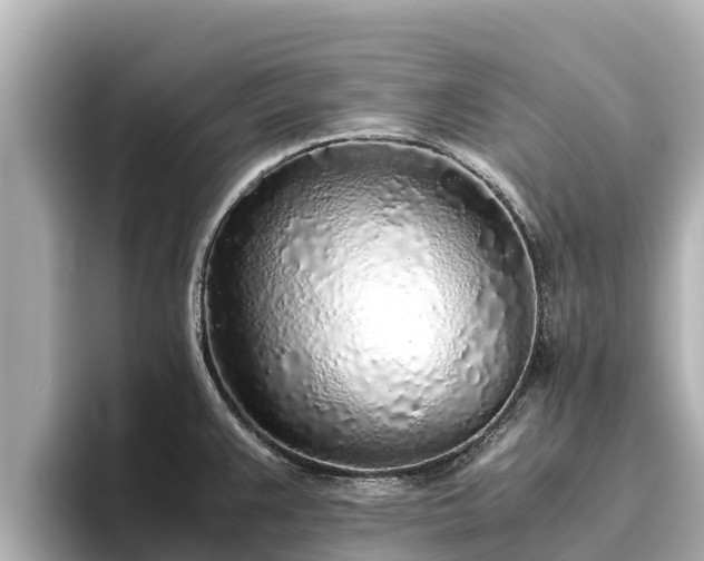 X0000096421383200801311404