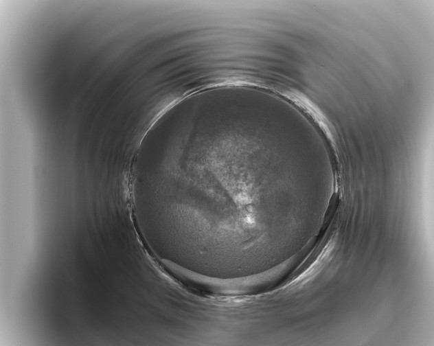 X0000096421385200801311403