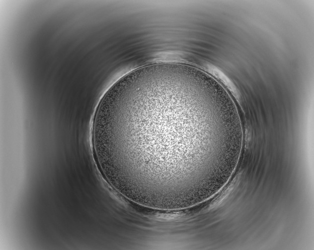 X0000096421386200801311403