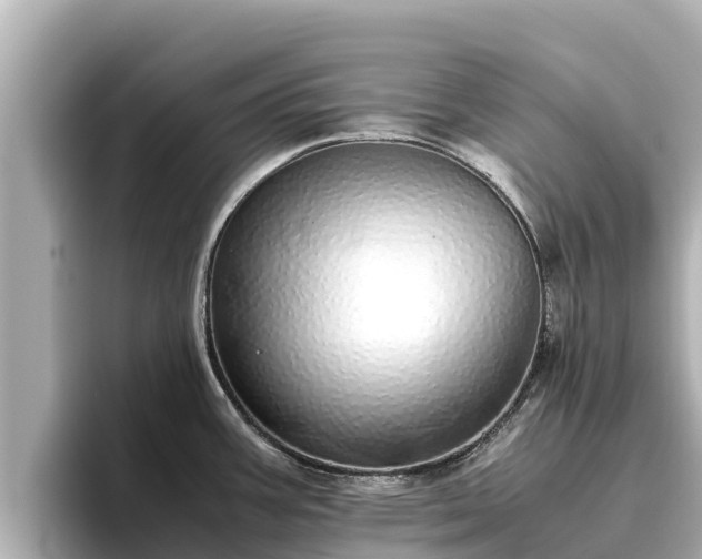 X0000096421387200801311403