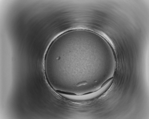 X0000096421388200801311403