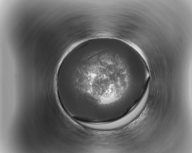 X0000096421389200801311403