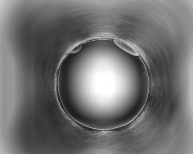 X0000096421390200801311403