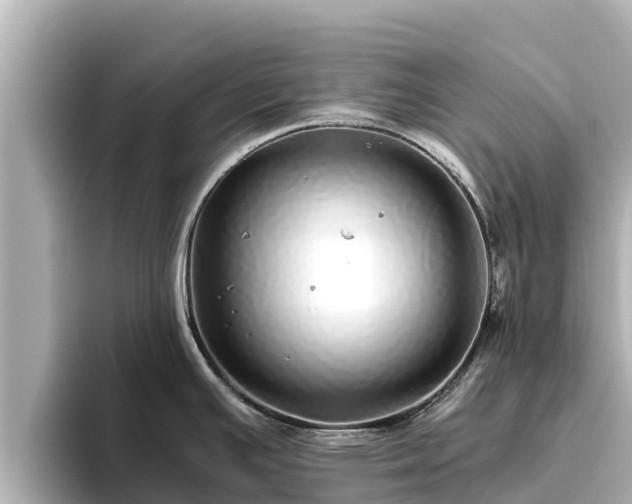 X0000096421391200801311403
