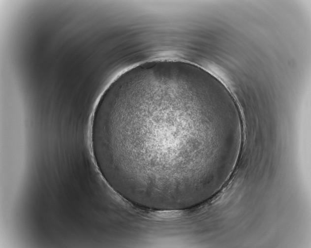 X0000096421392200801311403