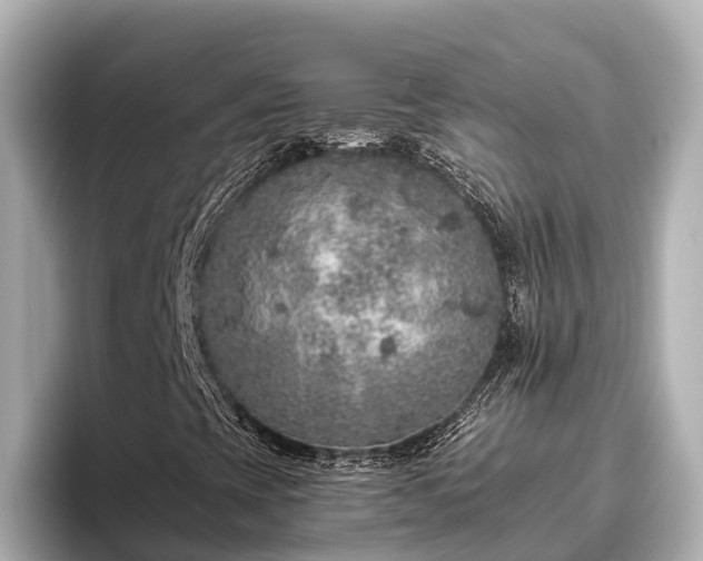 X0000096421393200801311403