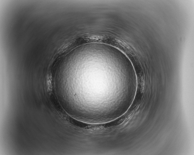 X0000096421394200801311403