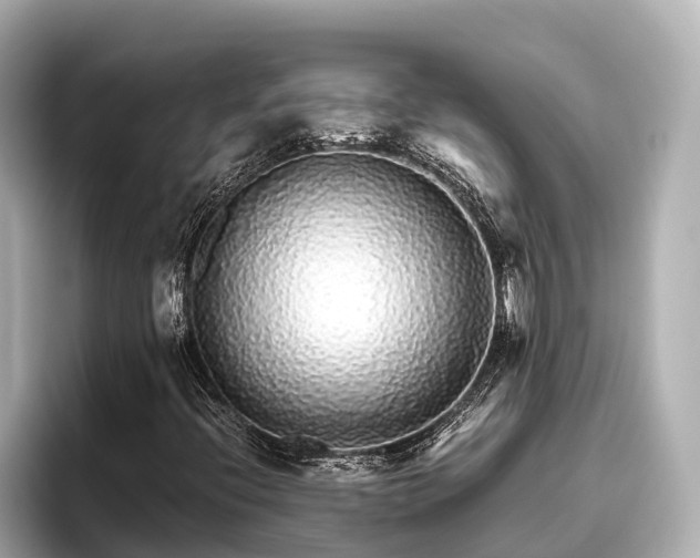 X0000096421396200801311403
