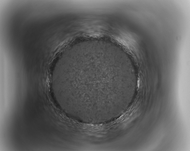 X0000096421397200801311403