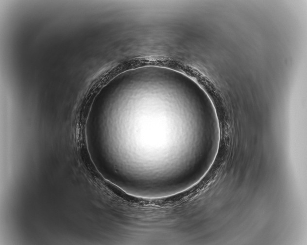 X0000096421398200801311403