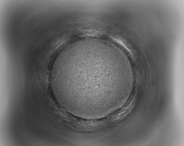 X0000096421399200801311403