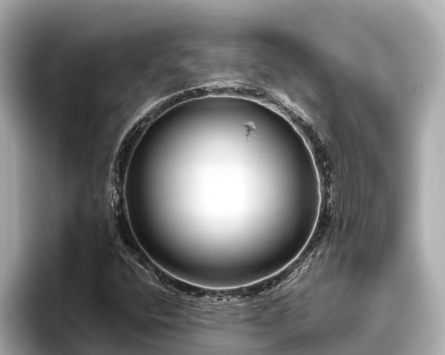 X0000096421400200801311403