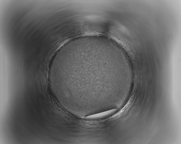 X0000096421401200801311403