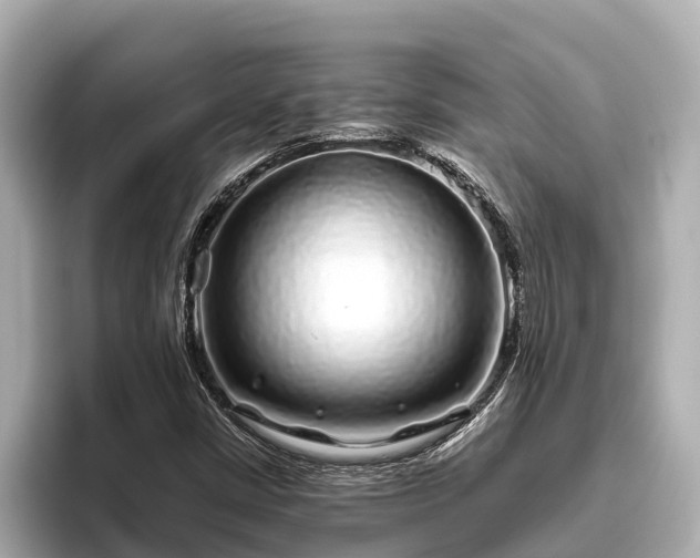 X0000096421402200801311403