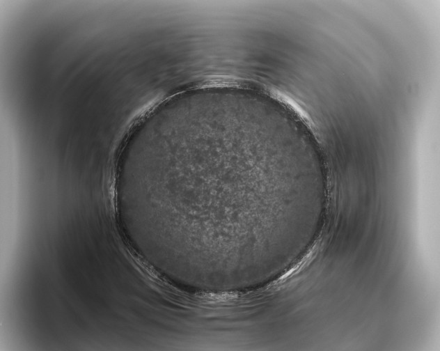 X0000096421403200801311403