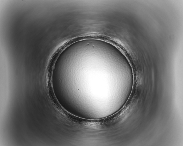 X0000096421406200801311403