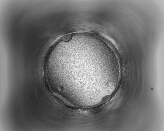 X0000096421407200801311403