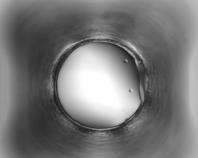 X0000096421408200801311403
