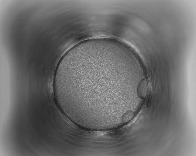 X0000096421409200801311403