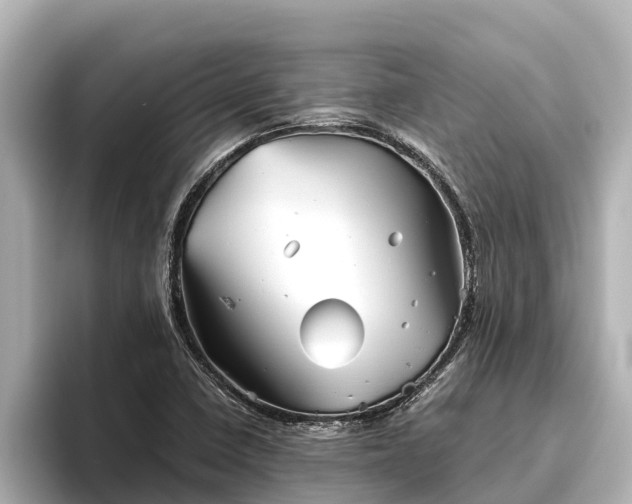 X0000096421410200801311403