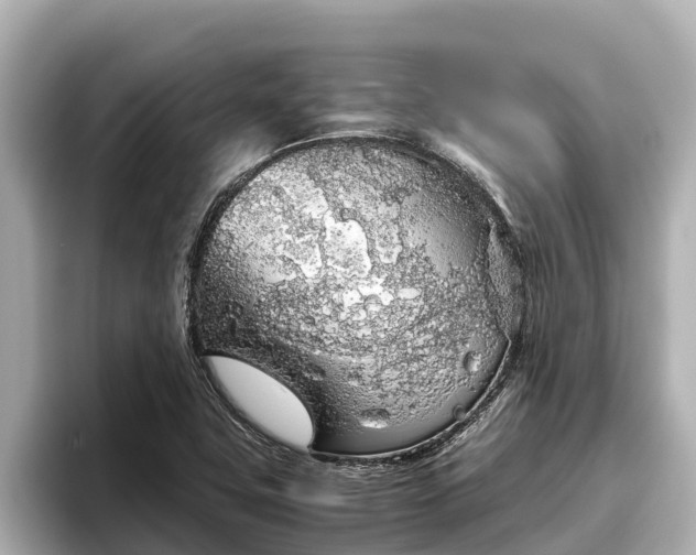 X0000096421411200801311403