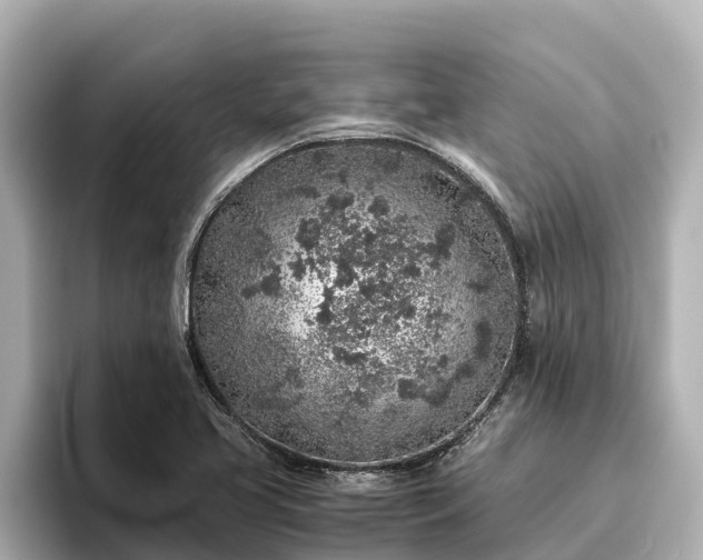 X0000096421413200801311403