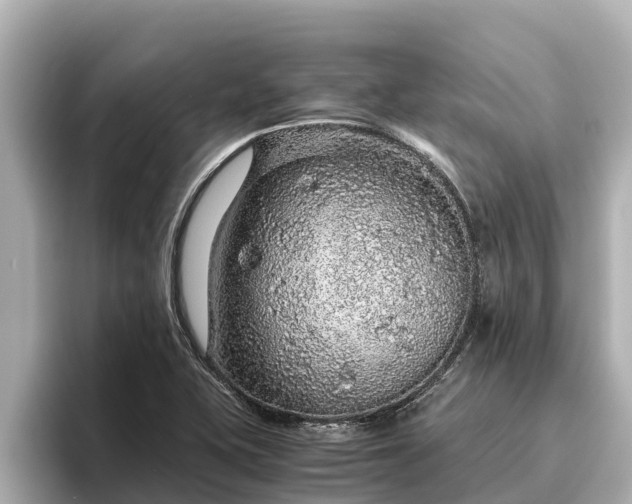 X0000096421415200801311403