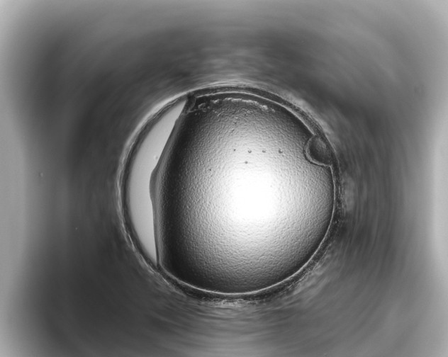 X0000096421416200801311403