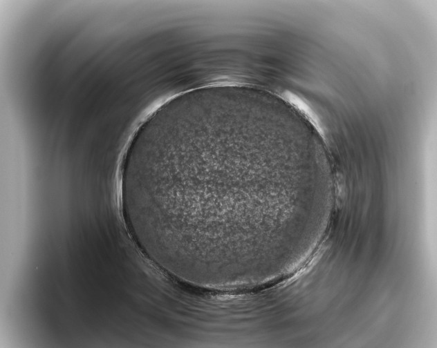 X0000096421419200801311403