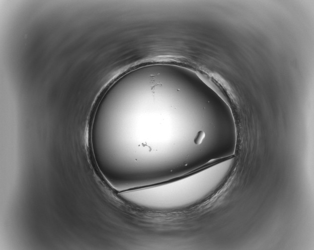 X0000096421420200801311403