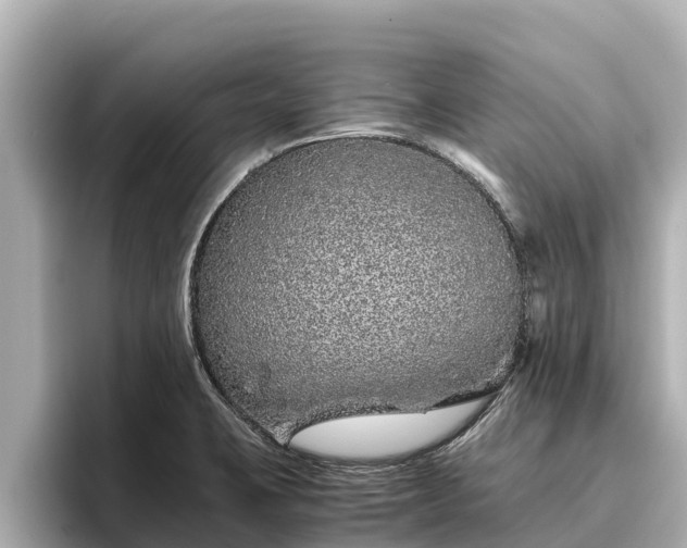 X0000096421423200801311403