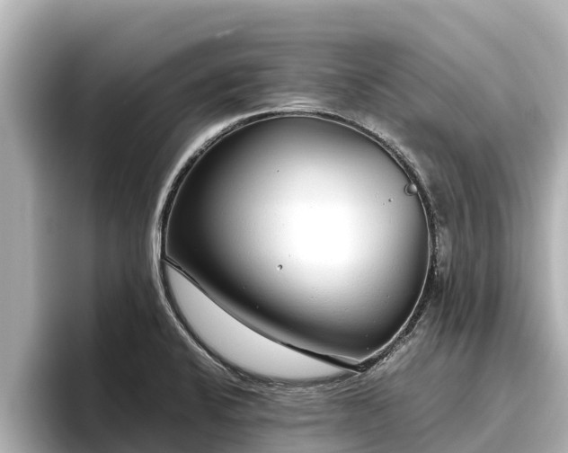 X0000096421424200801311403