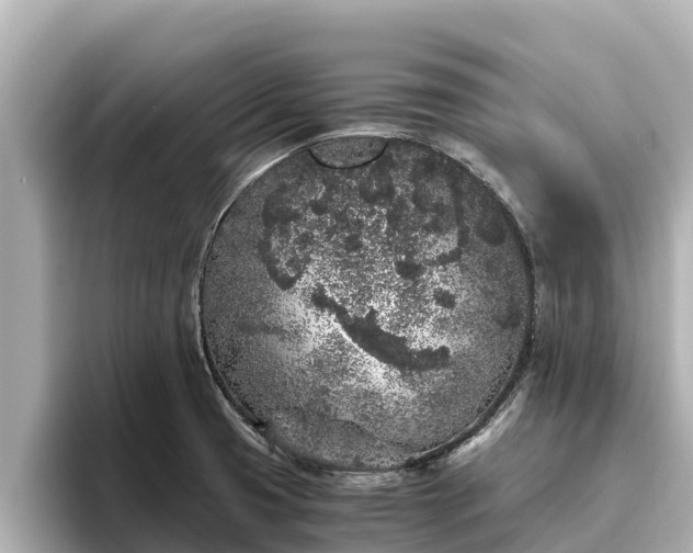 X0000096421425200801311403