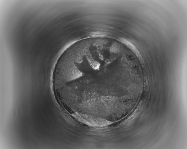 X0000096421427200801311403