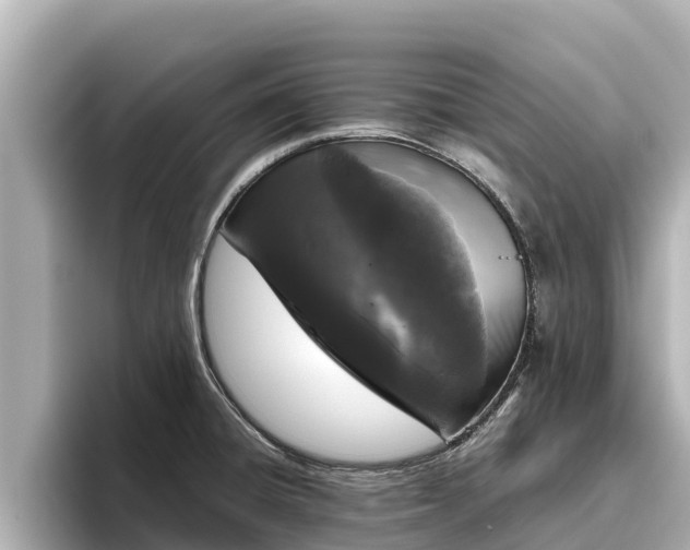 X0000096421428200801311403