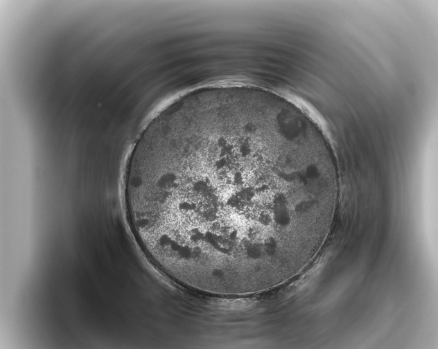 X0000096421429200801311403