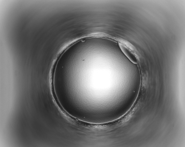 X0000096421430200801311403