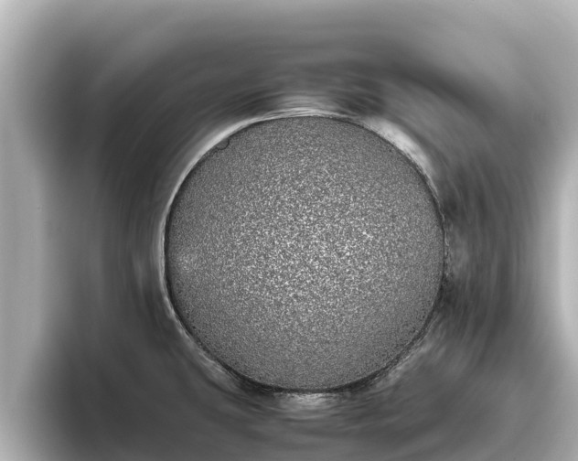 X0000096421431200801311403