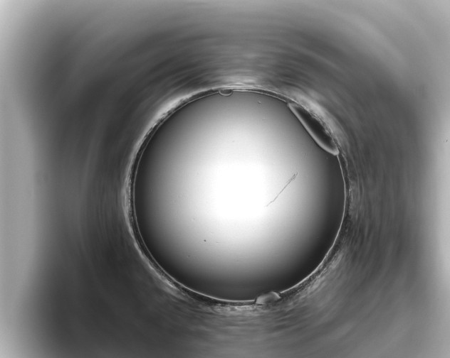 X0000096421432200801311403