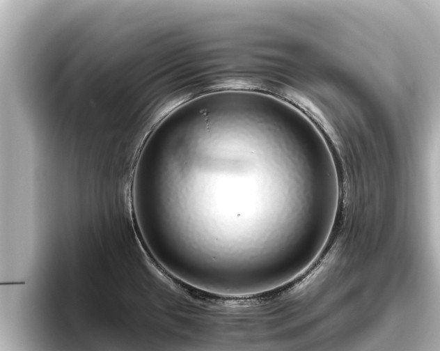 X0000096421433200801311403