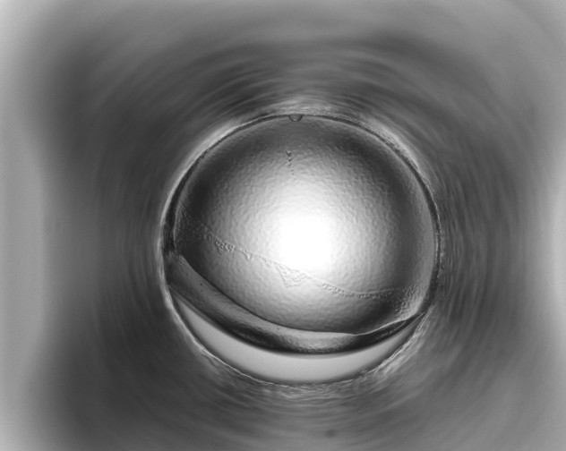 X0000096421434200801311403