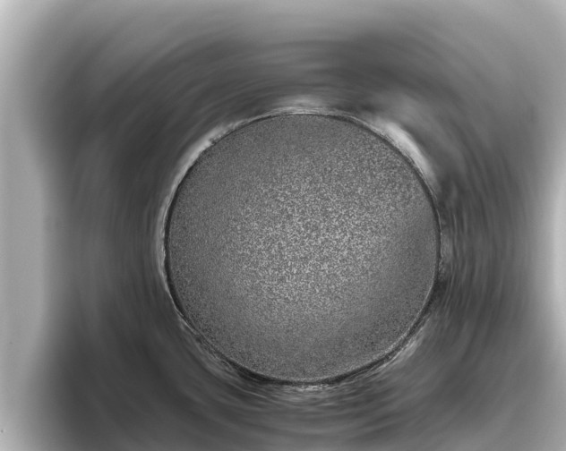 X0000096421435200801311403