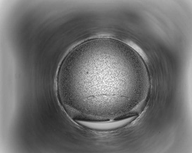 X0000096421436200801311403