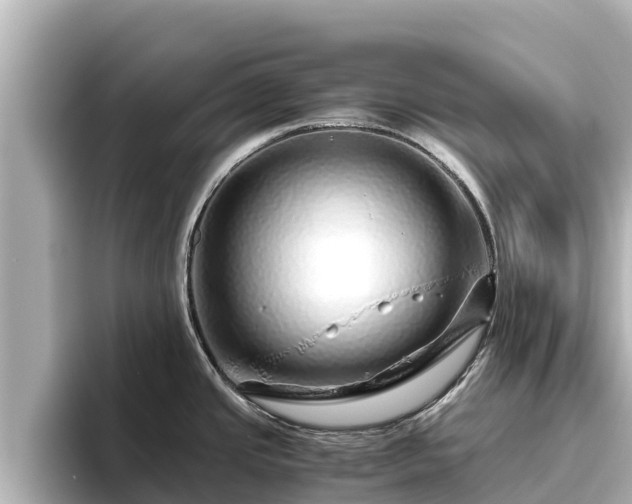 X0000096421437200801311403