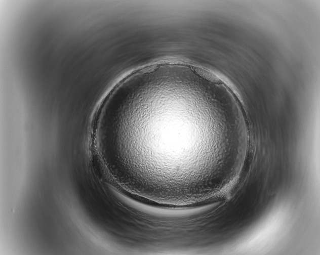 X0000096421438200801311403