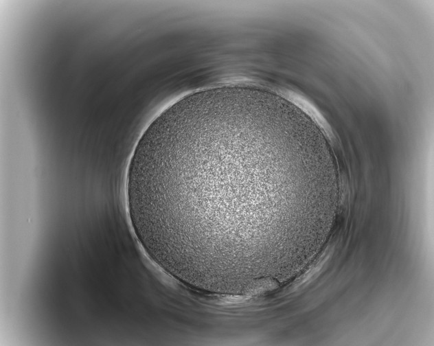X0000096421439200801311403