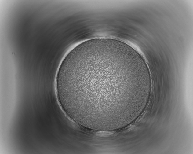 X0000096421440200801311403